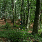 Sentier Combe à la Biche