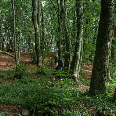 Sentier Combe à la Biche