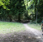 Sentier Combe à la Biche