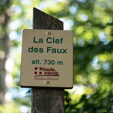 Sentier Clef des faux