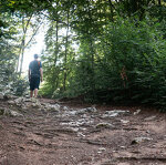 Sentier Clef des faux