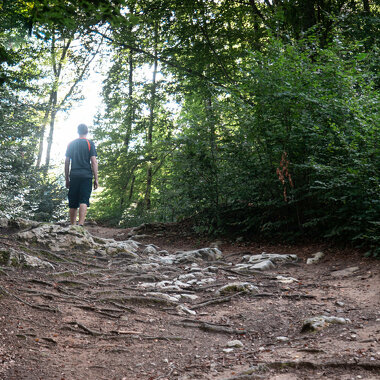 Sentier Clef des faux