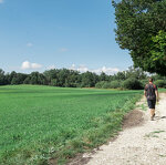 Sentier Clef des faux