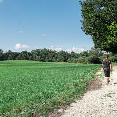 Sentier Clef des faux