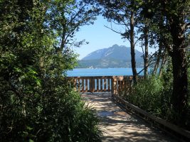 Réserve Naturelle Nationale du Bout du Lac d'Annecy
