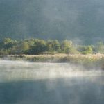 Réserve naturelle du Bout du lac Annecy