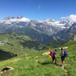 Alp Trails