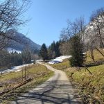 VAE Duingt Entrevernes la Frasse