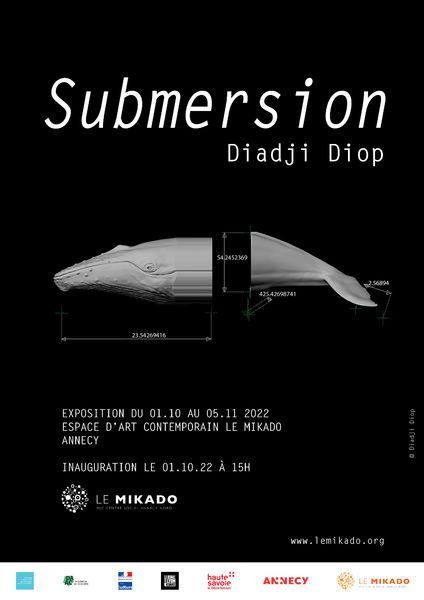 #Submersion de Diadji Diop - exposition art contemporain