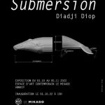 Inauguration : Submersion de Diadji Diop