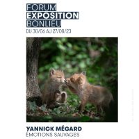 Exposition : Yannick Megard