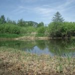 Marais de Poisy