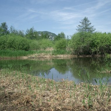 Marais de Poisy