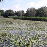 Boucle des étangs de Crosagny