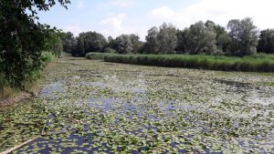 Boucle pédestre : Les Etangs de Crosagny