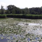 Boucle des étangs de Crosagny