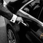 Alps Luxury Driver