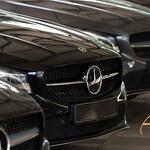 Alps Luxury Driver