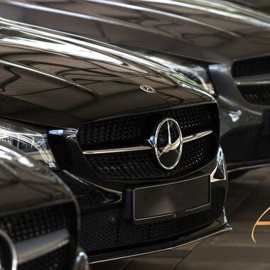 Alps Luxury Driver