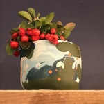 La Cerise sur la Terre