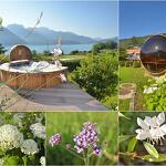 La Bulle Nordic