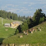Contat Damien