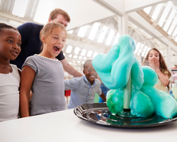 Bulles de Sciences : Les cris des Animaux