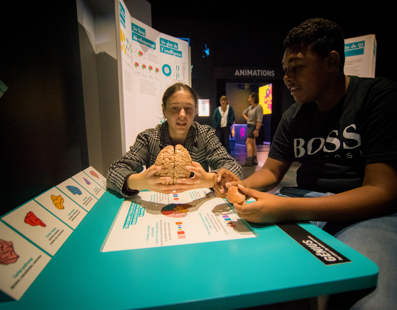 Expo : Intelligences. Différentes par nature