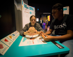 Expo : Intelligences. Différentes par nature