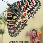 Exposition du JPEG photo club de Saint-Martin Bellevue_Annecy