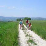 Circuit 9 - Les Châtaigneraies (centre VTT-FFC de l'Albanais)