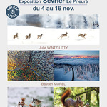 Exposition "Grandeur Nature"