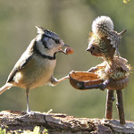 Exposition "Grandeur Nature"