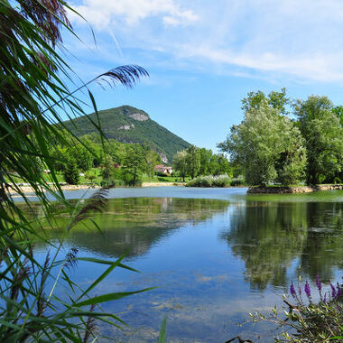 Le Domaine du Tornet