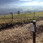 circuitvtt-aixlesbainsrivieradesalpes-leshautsdesaintours
