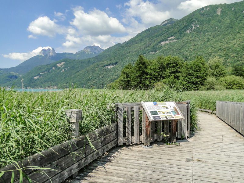 Sentier de la réserve naturelle du Bout du Lac d'Annecy