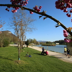 Tour du lac
