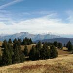 Le Plateau du Semnoz