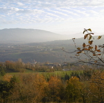 Point de vue Les Conclus