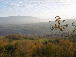 Point de vue Les Conclus