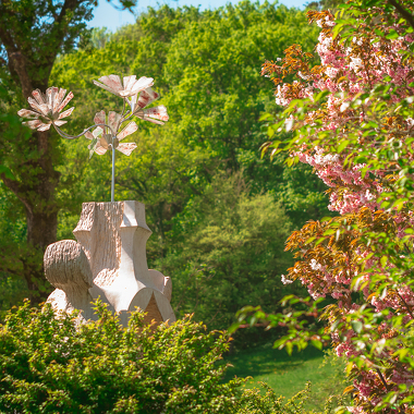 Floraison des cerisiers