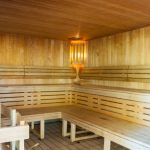 Seynod Annecy piscine Sauna public