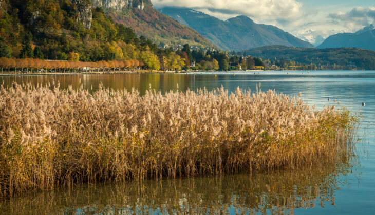 Le lac d'Annecy en automne