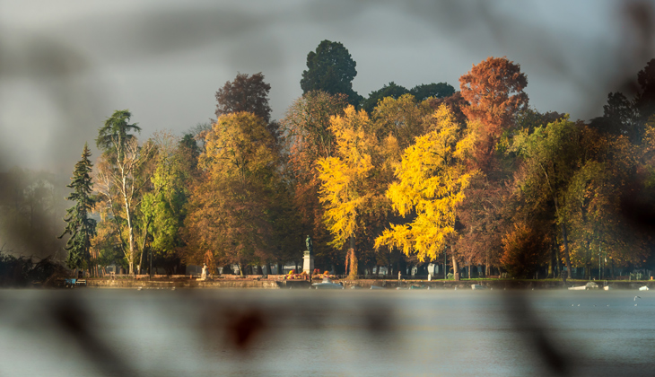 Le lac d'Annecy dans son manteau d'automne