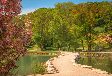 Domaine du Tornet