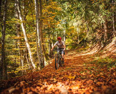 Sortie VTT automnale