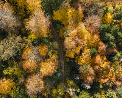 La destination Lac Annecy en automne