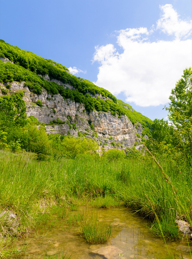 Montagne de la Mandallaz